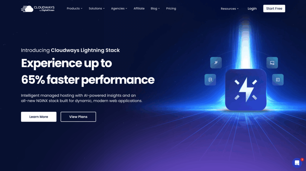 Cloudways managed WordPress hosting platform with server launch options and cloud provider selection.